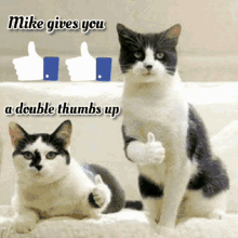 mike mike thumbs up gif