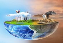 Exploring the Multifaceted Realm of Biodiversity: An Exhaustive Manual Biodiversity