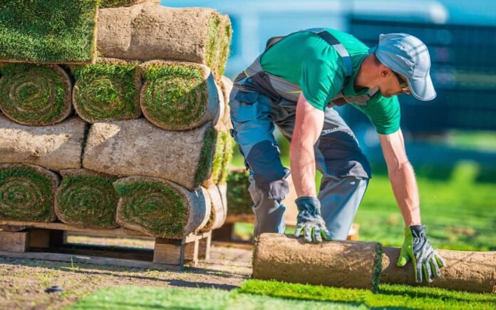 Affordable Sod Installers